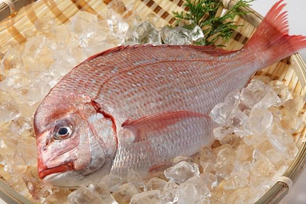 Ý nghĩa ẩn bên trong hộp cơm Osechi mừng năm mới của người Nhật-14