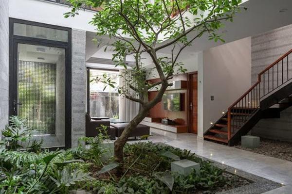 5 điềm lành bất ngờ xuất hiện: Gia chủ năm mới tiền của dồi dào-2