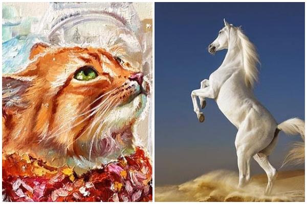 Tháng Chạp 4 cung hoàng đạo đen đủ đường, làm gì cũng hỏng-5