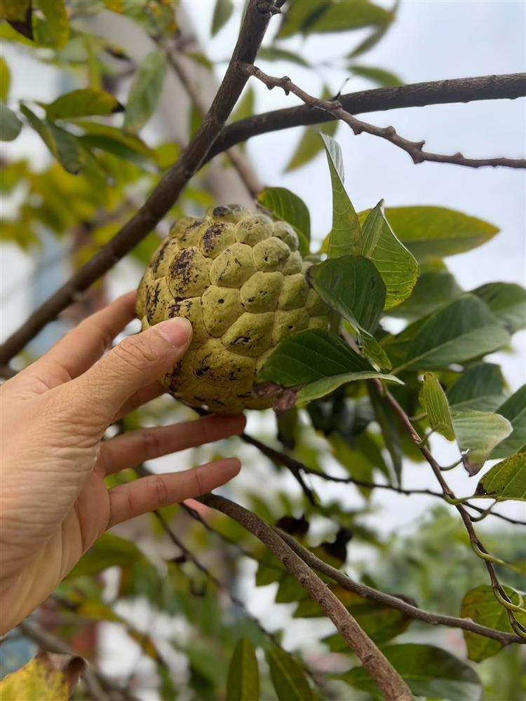 Hoa hậu Ngọc Hân để lộ cơ ngơi gia đình chồng sắp cưới-7