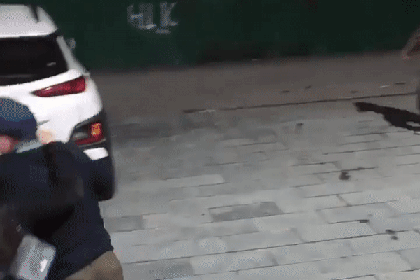 Clip: Vợ túm tóc tiểu tam đánh tới tấp, chồng ôm chặt nhân tình-1