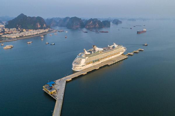 Phan Thiết mùa này rực màu hoa keo lá tràm-11