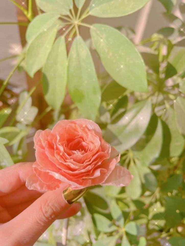 Xỉu up xỉu down hoa hồng thiết kế từ rác, chơi Tết là chuẩn bài-2