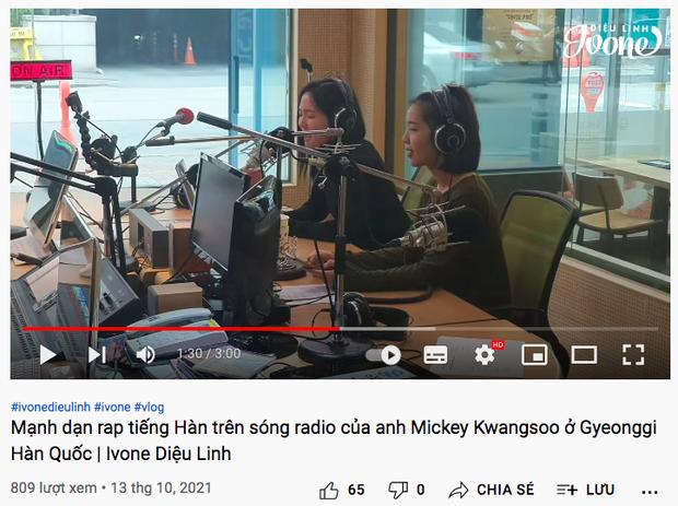 Loạt Idol Kpop xuất thân gốc Việt: Người tươm tất, kẻ dính kiện-7