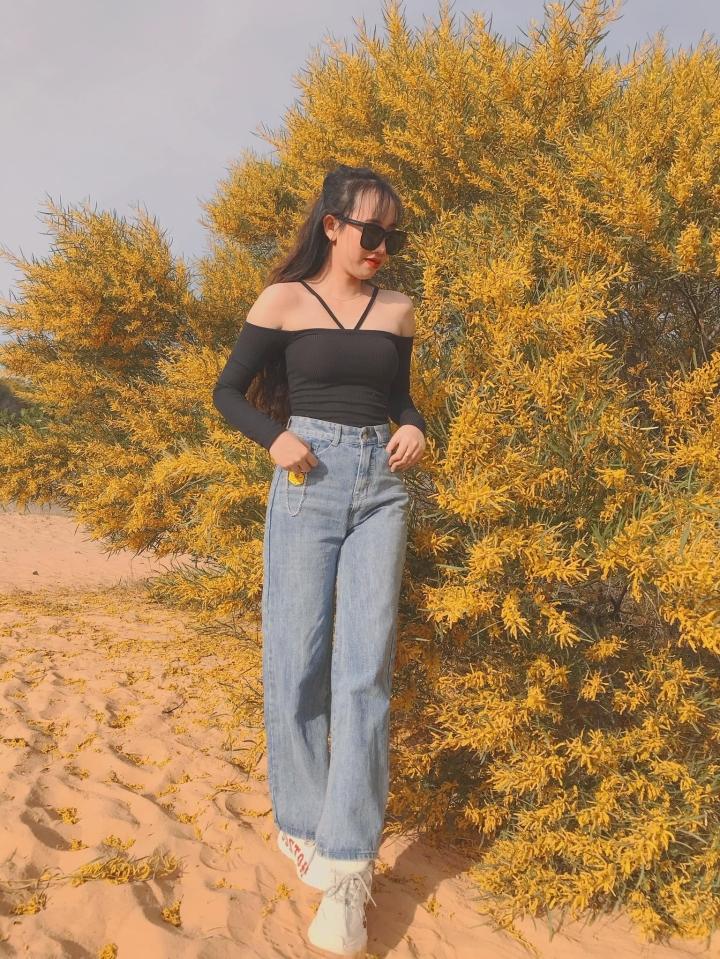 Phan Thiết mùa này rực màu hoa keo lá tràm-5