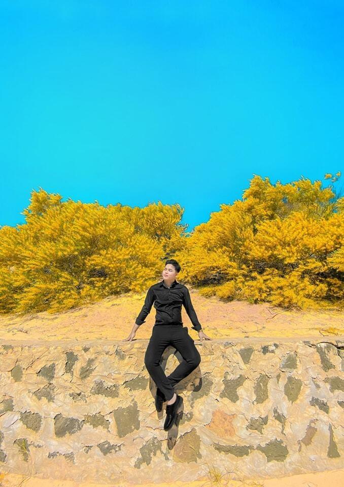 Phan Thiết mùa này rực màu hoa keo lá tràm-6