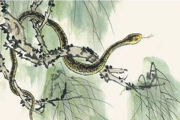 Tử vi hàng ngày 12 con giáp thứ Năm 6/1/2022: Dần sao quá vô tâm!-5