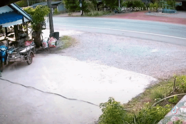 Cuộc sống đổi màu của tài xế container tông innova đi lùi cao tốc-5