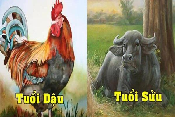 3 con giáp tài lộc ổn định, tiền bạc rủng rỉnh từ 5/1 đến 15/1-3