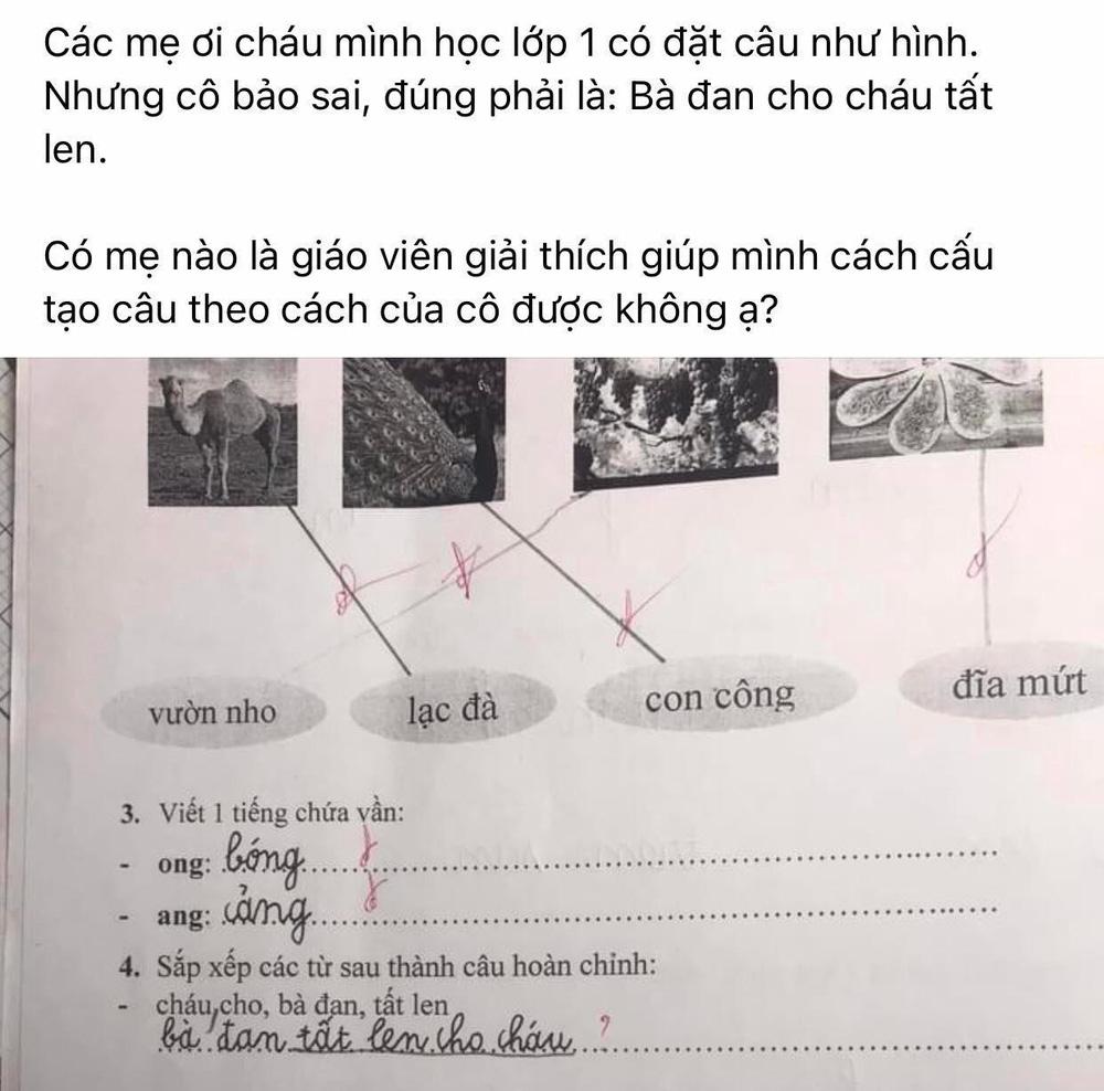 Bài tập tiếng Việt tưởng dễ ợt, ngờ đâu ối người trả lời sai đáp án-1