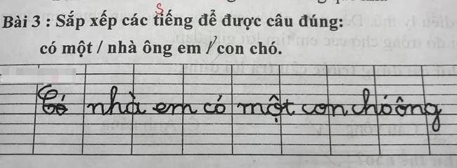 Bài tập tiếng Việt tưởng dễ ợt, ngờ đâu ối người trả lời sai đáp án-2