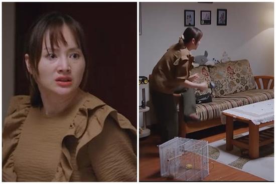 ‘Thương Ngày Nắng Về’ tập 24: Chồng mê mải chim, vợ ném guốc xử lý luôn thú cưng