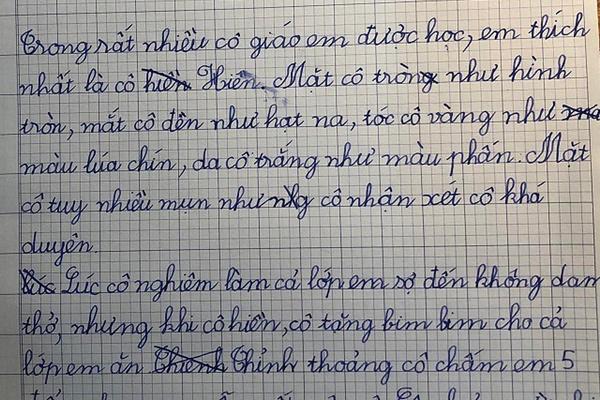 Cậu nhóc làm văn tả chim, đọc đến đâu té xỉu đến đó-7