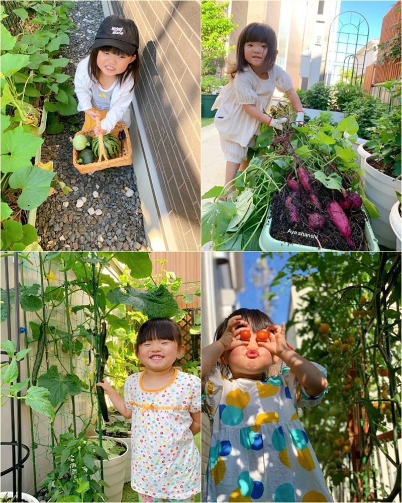 Mảnh vườn gì cũng có của mẹ Nhật, nhìn là thích đến ngẩn ngơ-4