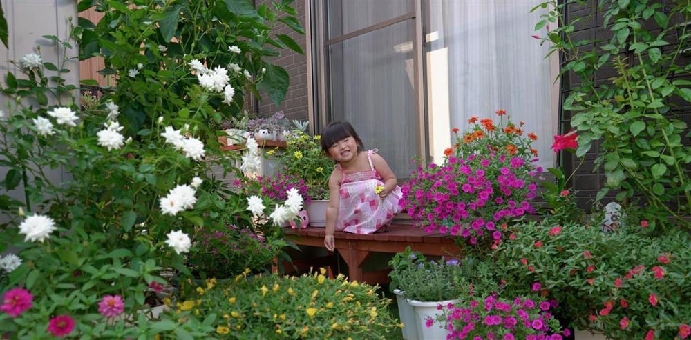 Mảnh vườn gì cũng có của mẹ Nhật, nhìn là thích đến ngẩn ngơ-5