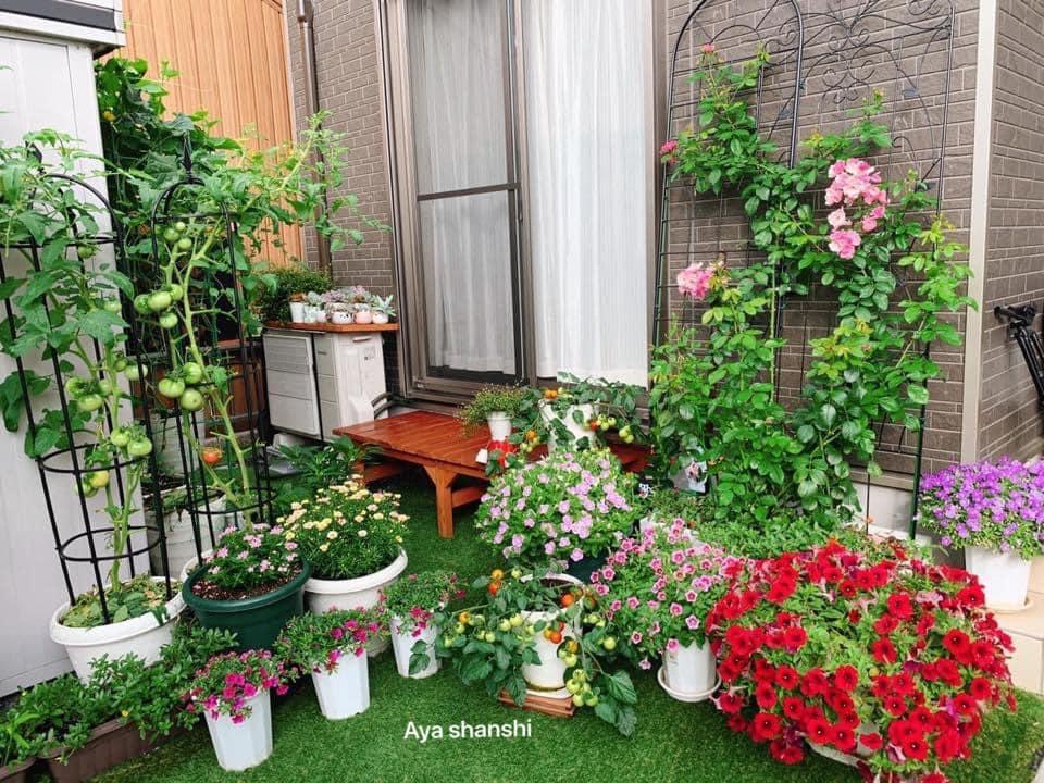 Mảnh vườn gì cũng có của mẹ Nhật, nhìn là thích đến ngẩn ngơ-6