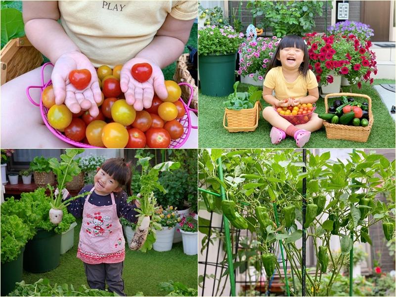 Mảnh vườn gì cũng có của mẹ Nhật, nhìn là thích đến ngẩn ngơ-7