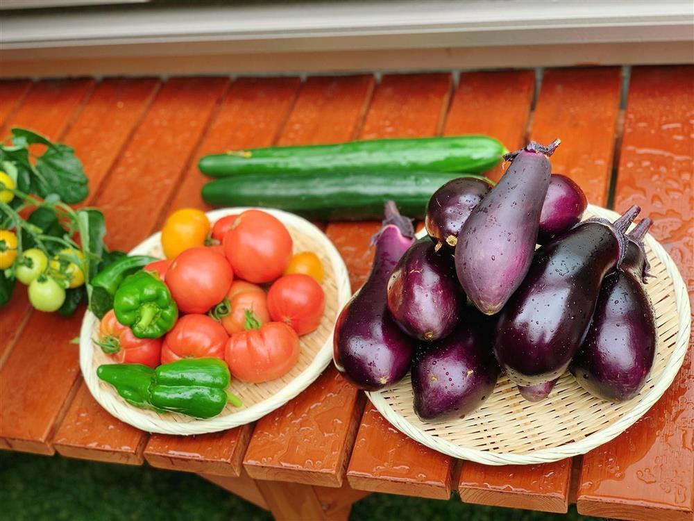 Mảnh vườn gì cũng có của mẹ Nhật, nhìn là thích đến ngẩn ngơ-9