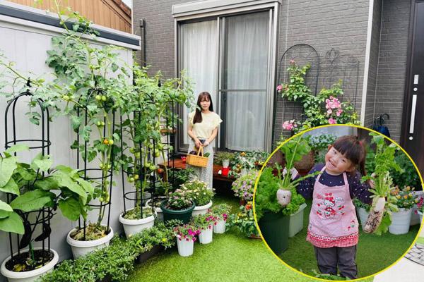 Bí quyết trồng rau mầm thủy canh tại nhà đã nhanh gọn lại dễ chăm-10