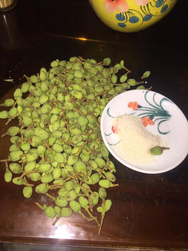 Cô nàng hái một loại quả về chấm muối ăn, dân mạng nhìn hết hồn-1