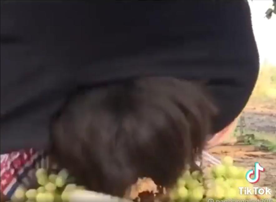 Cười ná thở thanh niên thích rì viu đồ ăn nhưng quên xem ngày đẹp-3