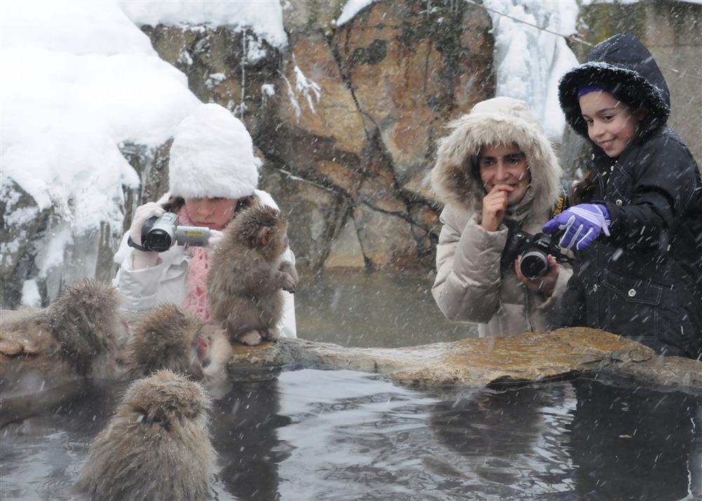 Vì sao khỉ tuyết Nhật Bản thích tắm nước nóng tại Thung lũng địa ngục?-3