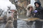 Vì sao khỉ tuyết Nhật Bản thích tắm nước nóng tại 'Thung lũng địa ngục'?
