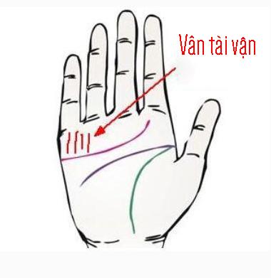 4 đặc điểm bàn tay tiêu tài tán lộc, cả đời lo lắng cơm áo gạo tiền-4