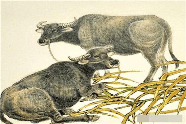 Tử vi hàng ngày 12 con giáp thứ Bảy 8/1/2022: Dễ bắt thóp Dần!-5