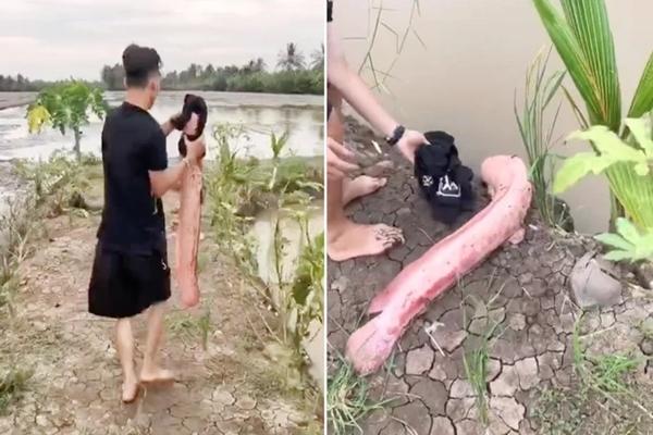 Cô gái ăn cá trê bắt ngoài nghĩa địa, lạnh gáy thứ tìm thấy trong bụng cá-8