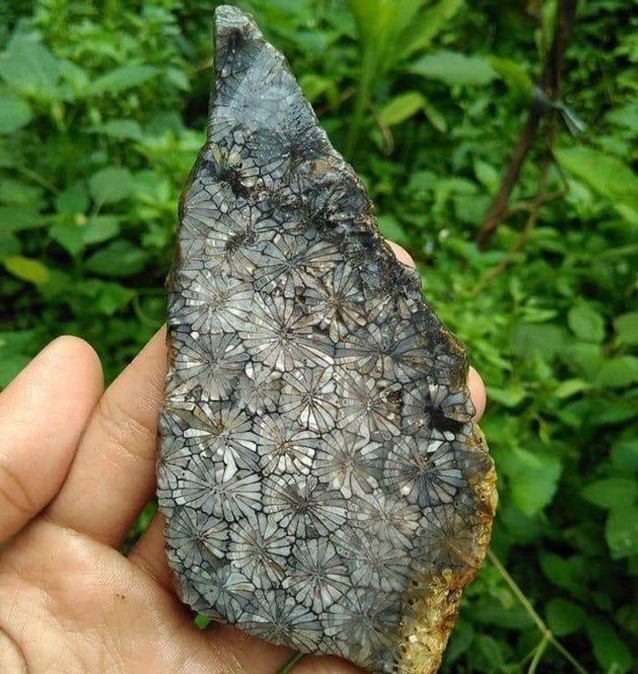 Tự nhiên trót ngủ quên làm vạn vật xung quanh trở nên điên đảo-11