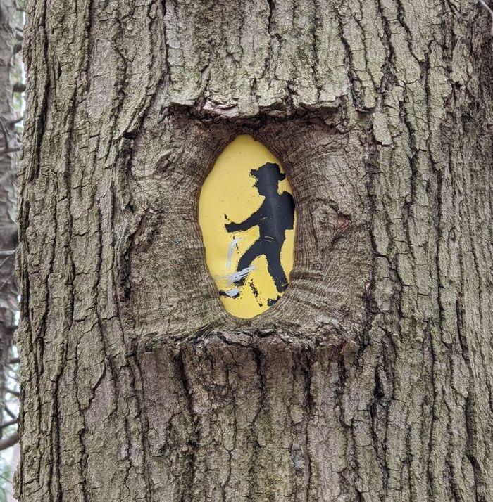 Tự nhiên trót ngủ quên làm vạn vật xung quanh trở nên điên đảo-12