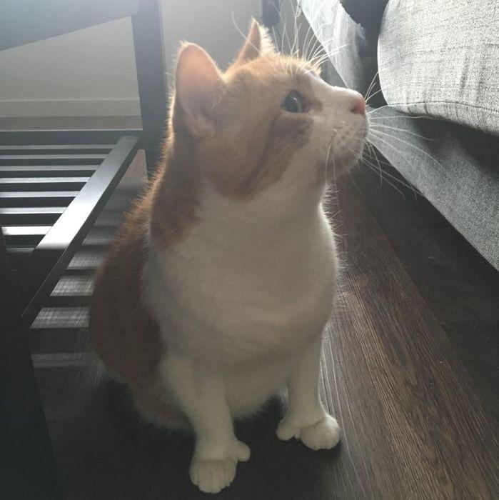 Tự nhiên trót ngủ quên làm vạn vật xung quanh trở nên điên đảo-13