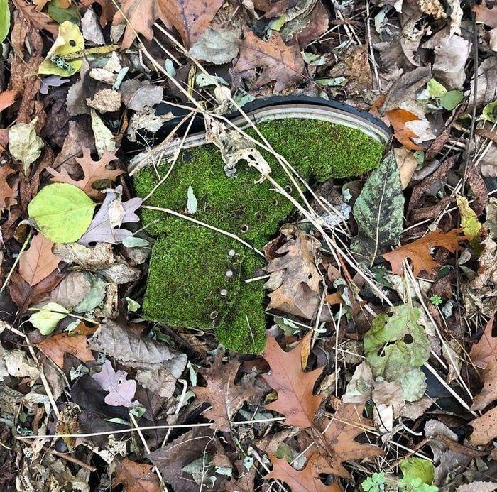 Tự nhiên trót ngủ quên làm vạn vật xung quanh trở nên điên đảo-6