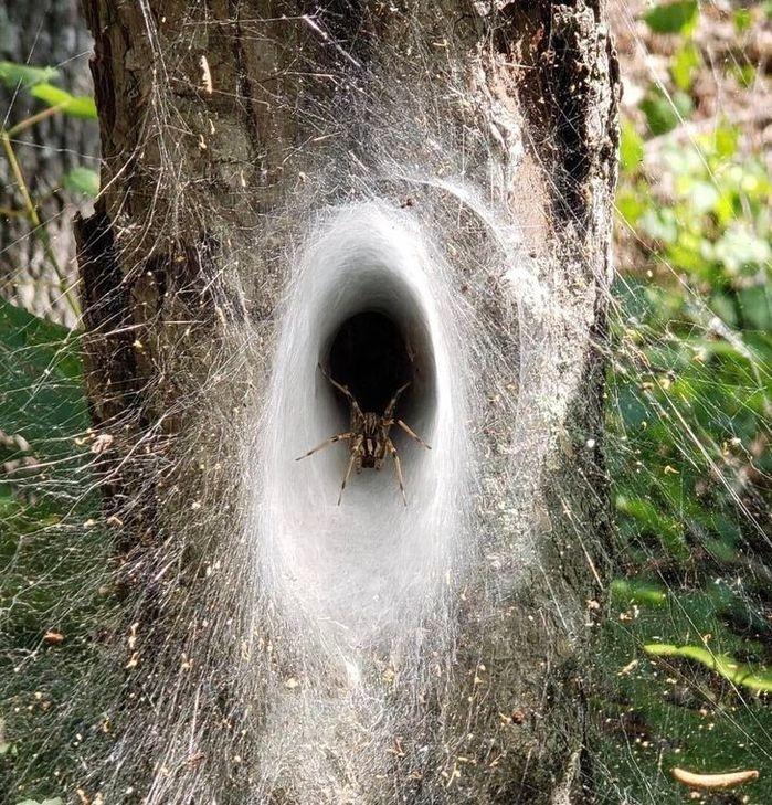 Tự nhiên trót ngủ quên làm vạn vật xung quanh trở nên điên đảo-9