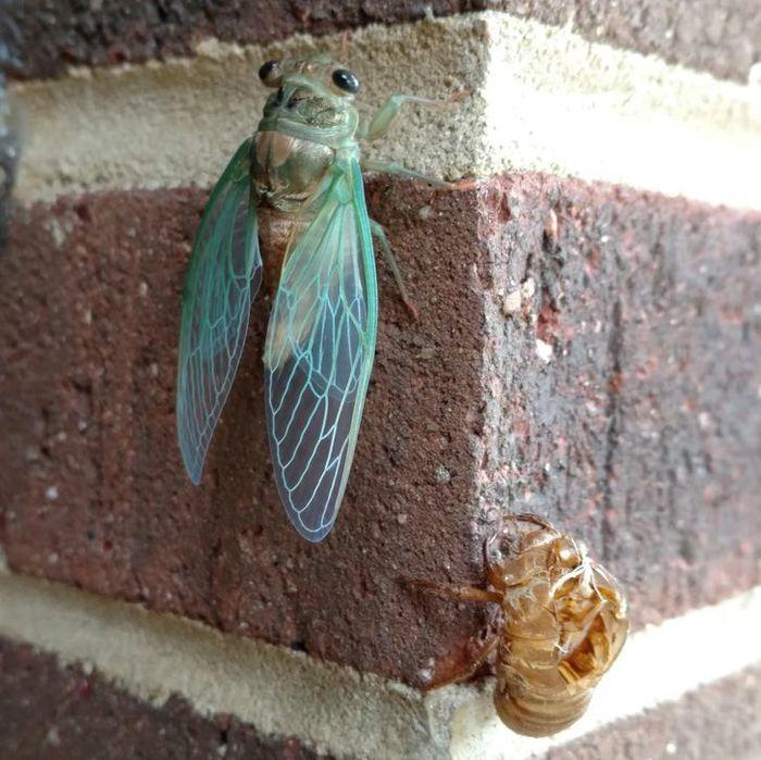 Tự nhiên trót ngủ quên làm vạn vật xung quanh trở nên điên đảo-10