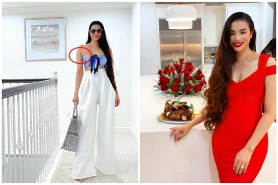 Diện áo bó chẽn, Phạm Hương 'lộ nguyên hình' mỡ nách kém nuột