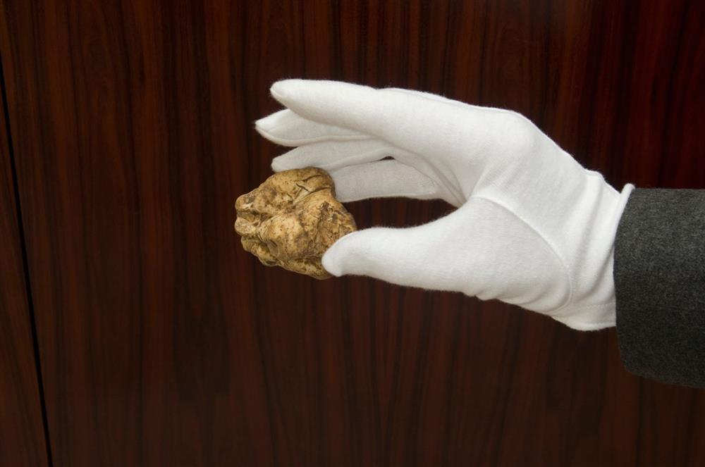 10 món ăn đắt nhất thế giới, chỉ dành cho giới thượng lưu-1