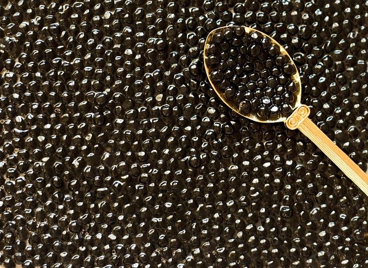 10 món ăn đắt nhất thế giới, chỉ dành cho giới thượng lưu-2