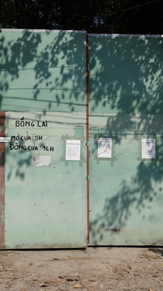 Hàng xóm sát vách Tịnh thất: 7 năm qua họ sống biệt lập-6