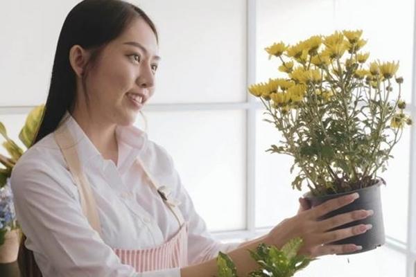 Quy tắc phong thủy bày mâm ngũ quả vừa đẹp vừa may ngày Tết-6