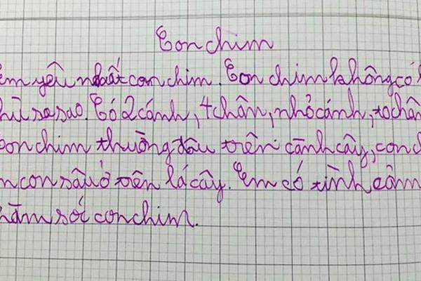 Viết thư bỏ nhà đi bụi, cậu nhóc khiến bố mẹ sốc nặng-2