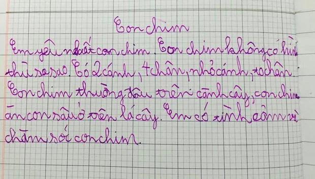 Cậu nhóc làm văn tả chim, đọc đến đâu té xỉu đến đó-1