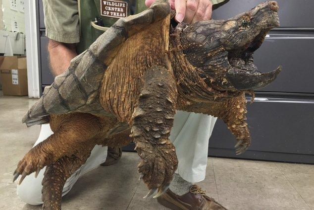 Sống ở thiên đường của quỷ-2