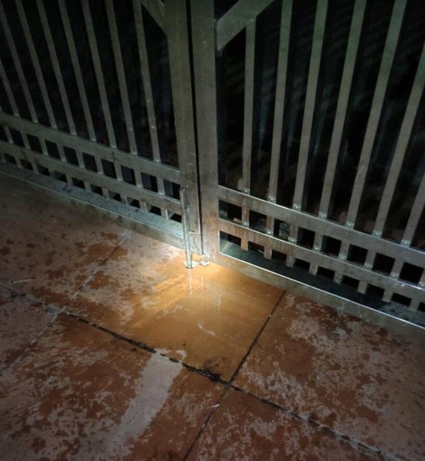 Đe dọa tạt a-xít để tống tiền các gia đình giàu có-2