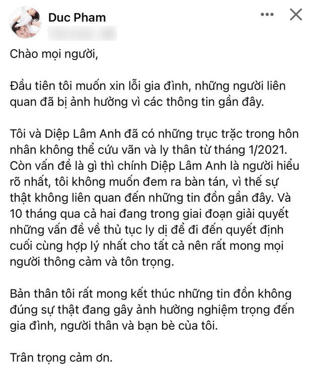 Diệp Lâm Anh - Đức Phạm ly thân: Ông nói gà, bà nói vịt?-3