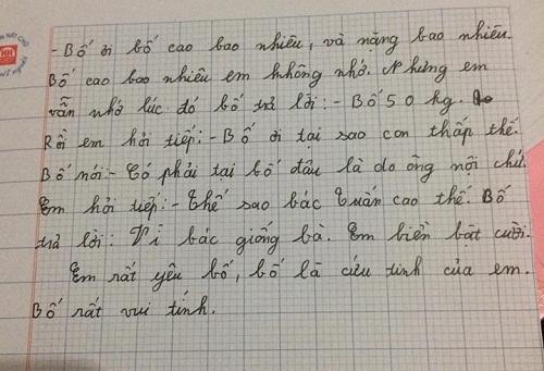 Cậu nhóc làm văn tả bố, đọc đoạn hội thoại cười thả ga-2