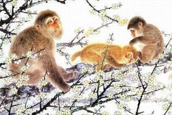 Tử vi hàng ngày 12 con giáp thứ Tư 12/1/2022: Tiền về rủng rỉnh-5