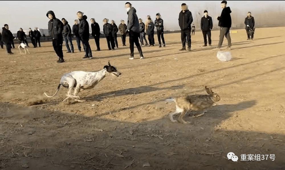 Chuyện kỳ cục ở Trung Quốc: Kiếm tiền từ việc bán nước nóng... để ném-3