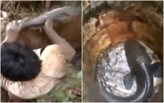 Có cái hang lạ dưới gốc cây chuối, thứ lôi ra khiến ai cũng tròn mắt-2